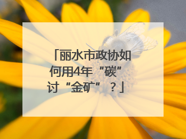 丽水市政协如何用4年“碳”讨“金矿”？